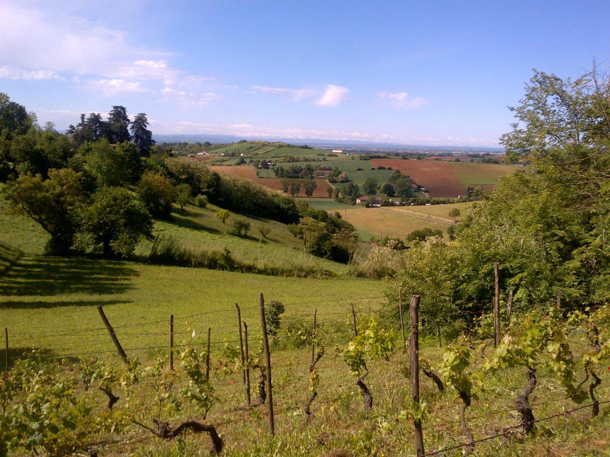 Country Boutique Paradiso Valmadonna 外观 照片